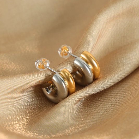 Silver And Gold Earrings